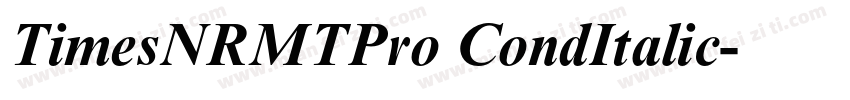 TimesNRMTPro CondItalic字体转换